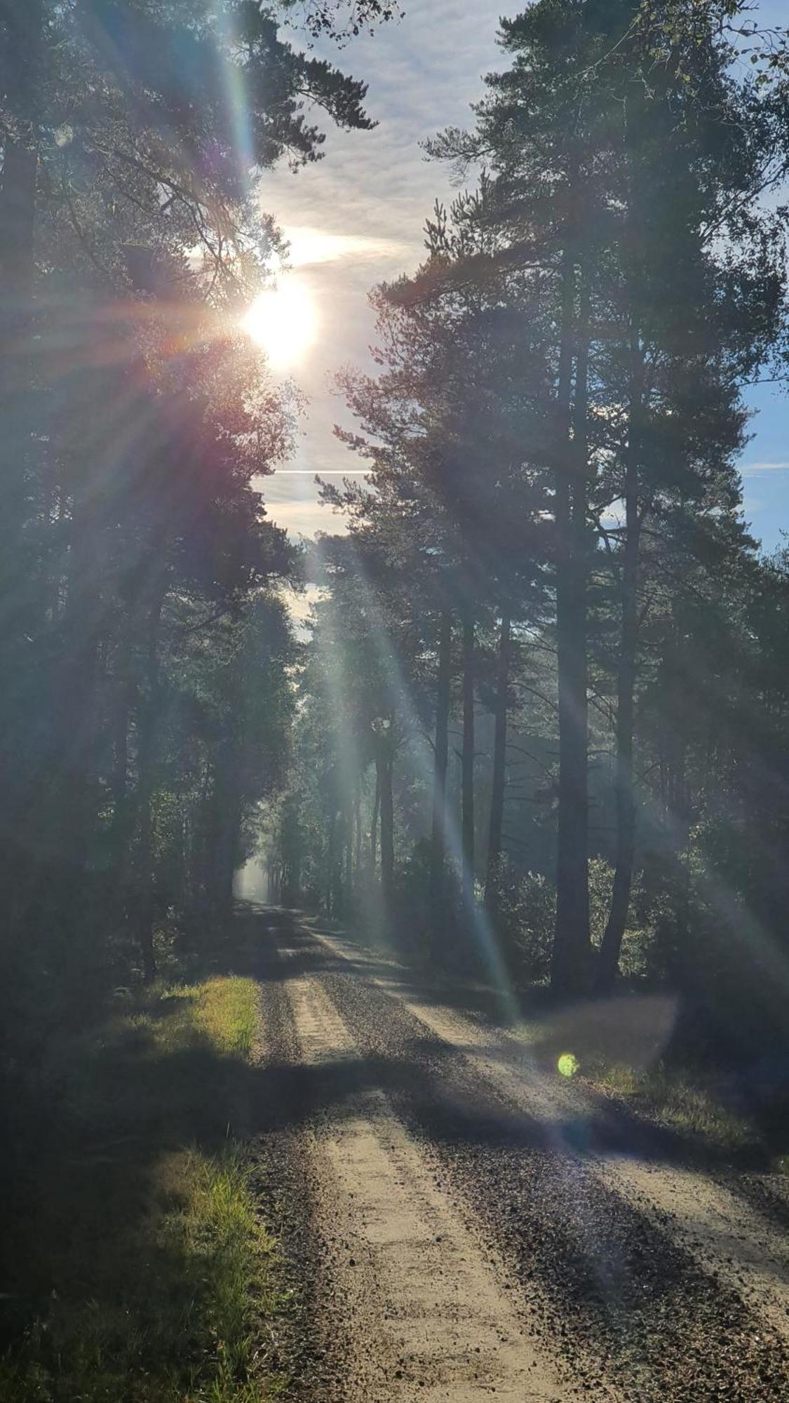 Soedra Ljunga Vandrarhem Ljungby  Exterior foto
