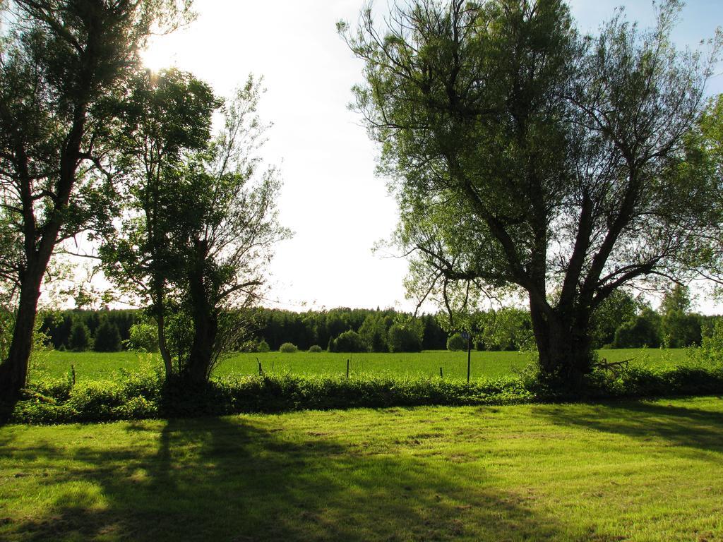 Soedra Ljunga Vandrarhem Ljungby  Habitación foto
